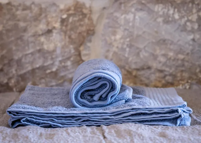 1 - Family X 3 By Solea Gasthuis 3*