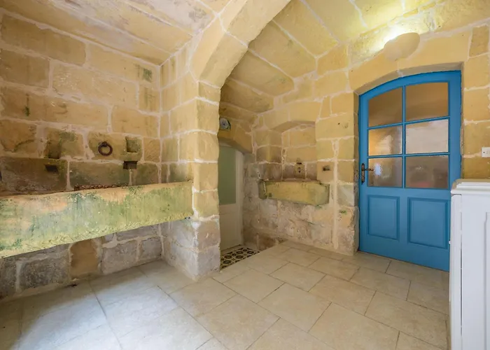 1 - Family X 3 By Solea Gasthuis